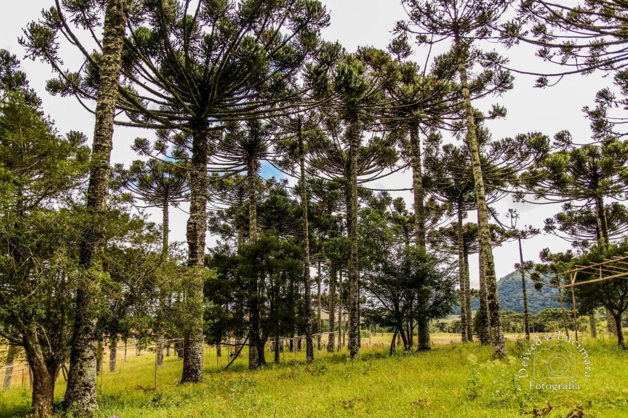 Refugio Do Lago Lages Bagian luar foto